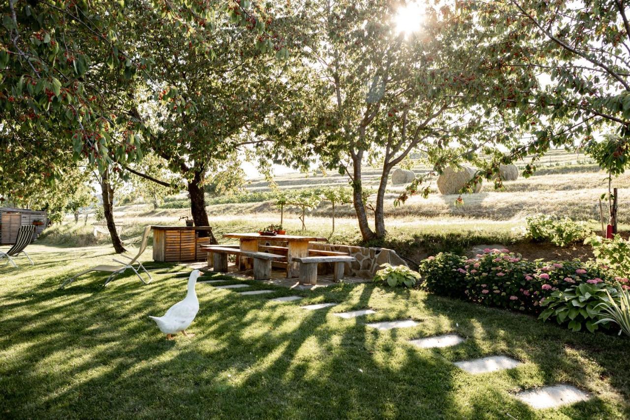 Sunny Hill Apartman Vremski Britof Kültér fotó